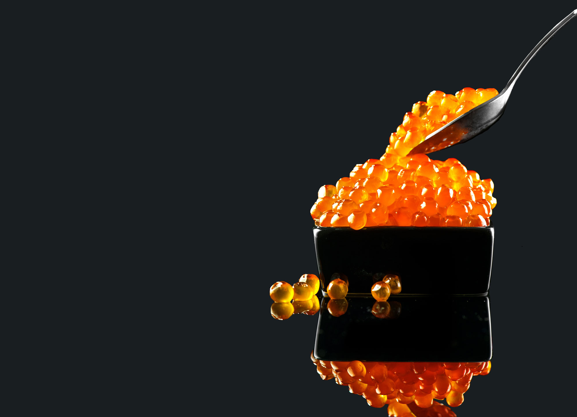 Caviale & Champagne — Il Gatto Nero