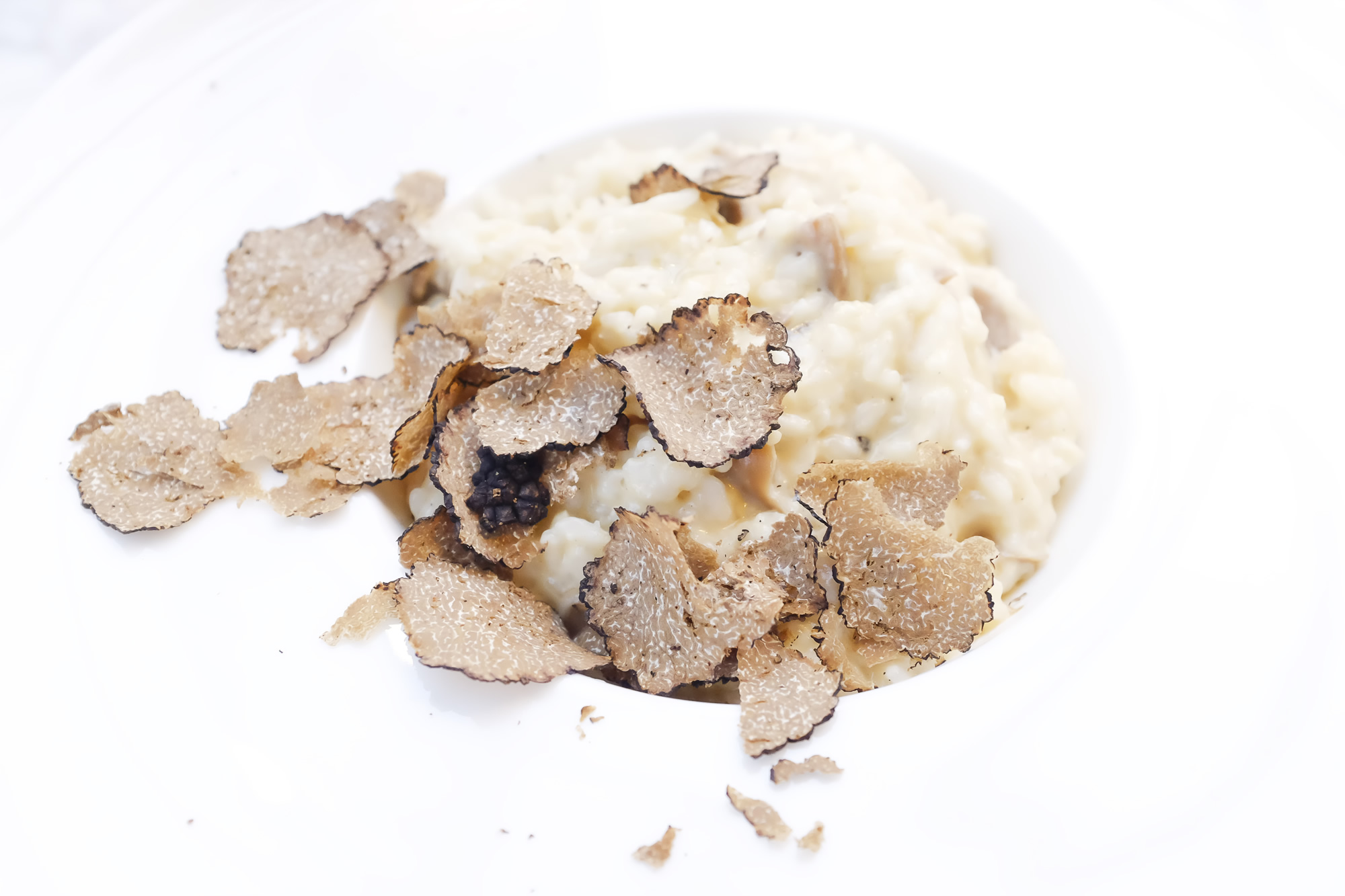 Risotto & Tartufo Nero — Il Gatto Nero
