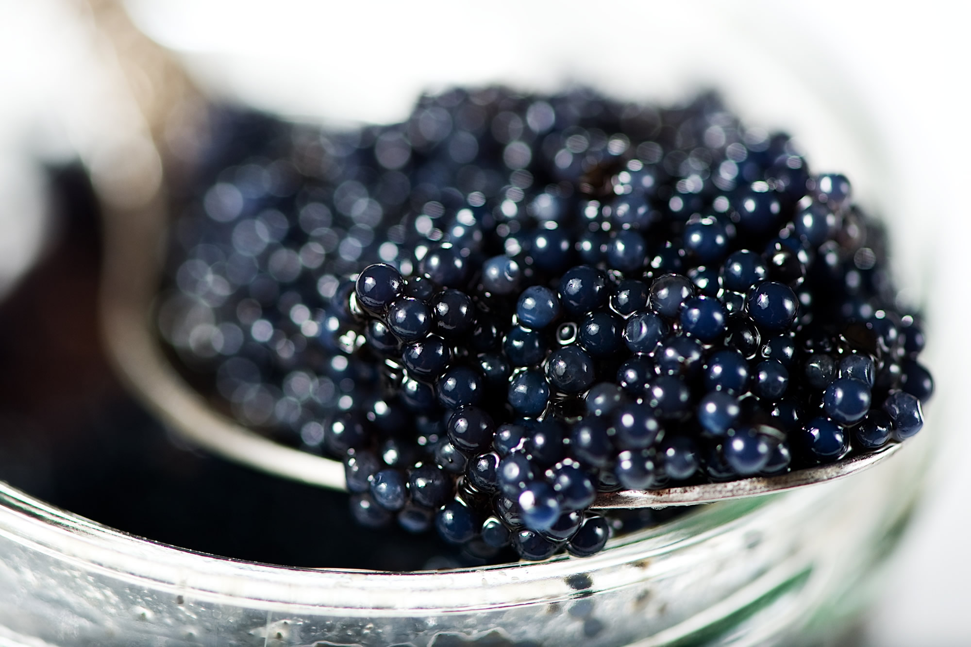 Selezione di caviale — Il Gatto Nero